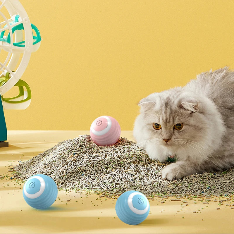 Petoy™ - The Magical Cat Toy