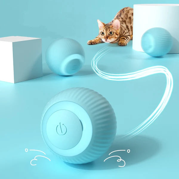 Petoy™ - The Magical Cat Toy