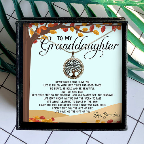 LIFE GAVE ME THE GIFT OF YOU - GIFT FROM GRANDMA